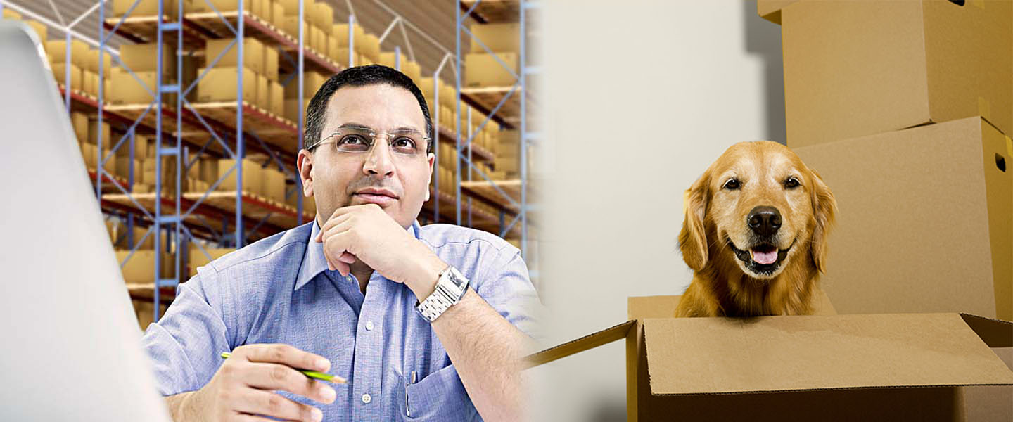 Safe Trans Cargo Packers and Movers Safe Trans Cargo Packers and Movers